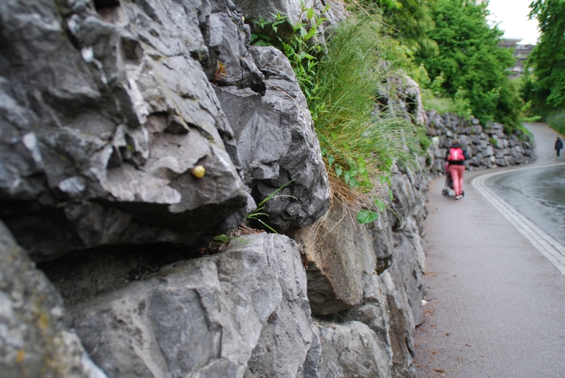 Wall
Keywords: Switzerland Grindelwald Nikon