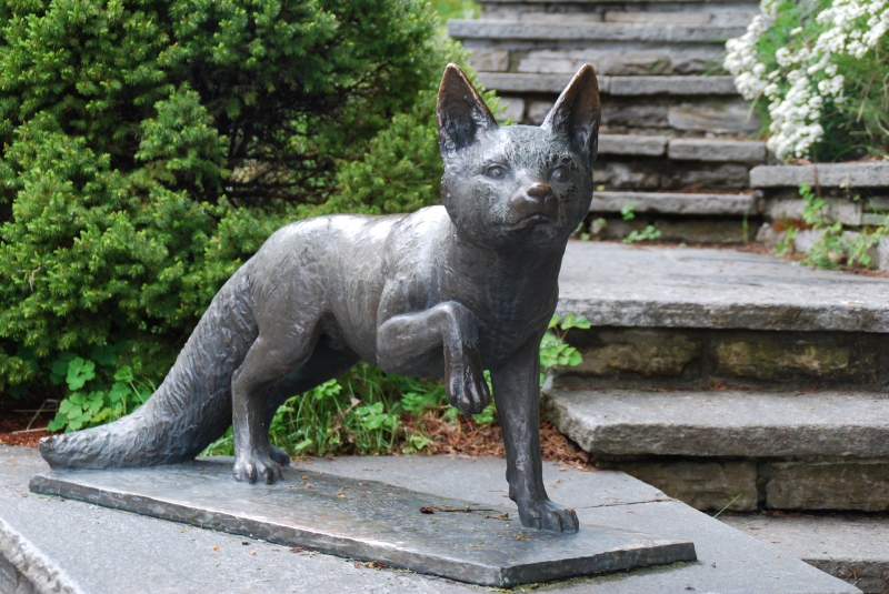 Fox Statue
Keywords: Switzerland Murren Nikon Statue