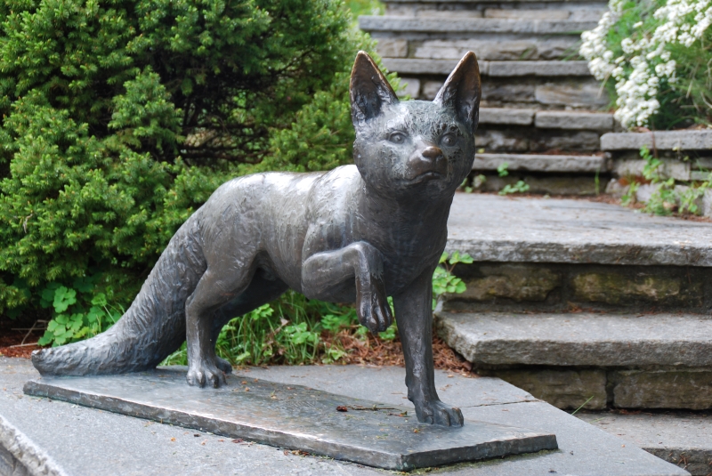 Fox Statue
Keywords: Switzerland Murren Nikon Statue