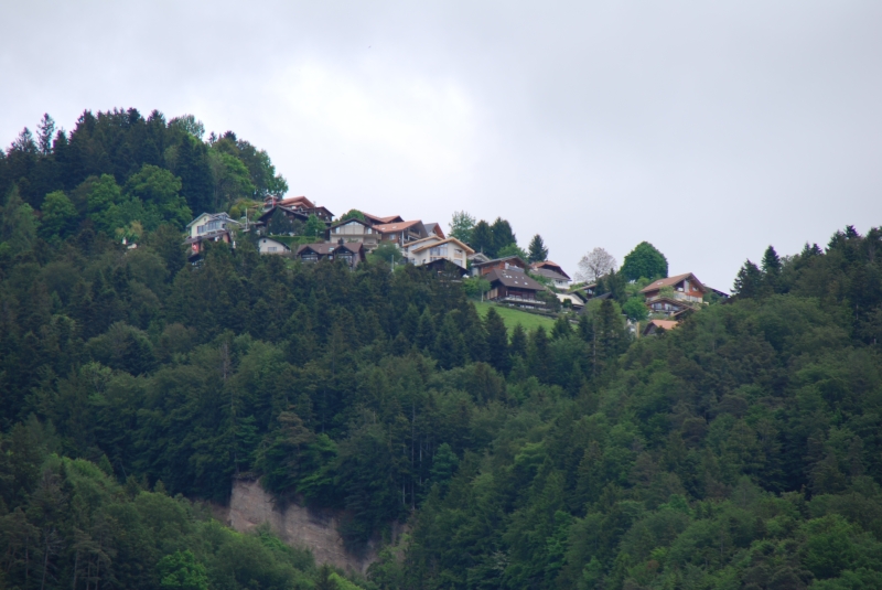 View from Paddle Steamer
Keywords: Switzerland Lake Thun Nikon