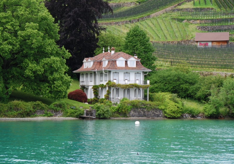 View from Paddle Steamer
Keywords: Switzerland Lake Thun Nikon