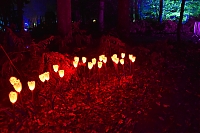 DS1_5092.JPG
