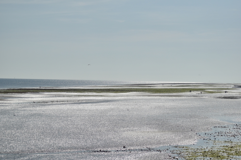 Keywords: Worthing Nikon Beach Sea