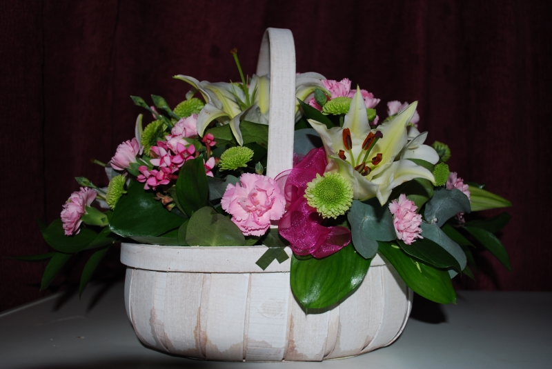 Basket of Flowers
Keywords: Flower Nikon