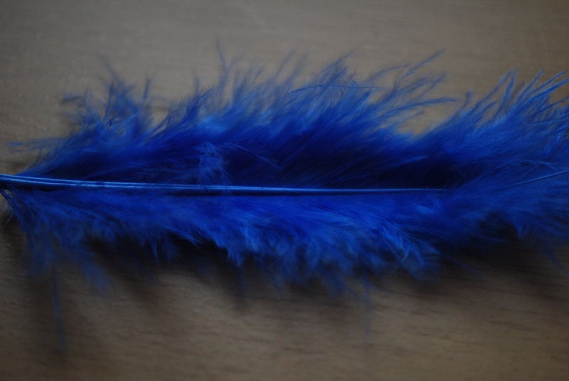 Keywords: Feather Nikon